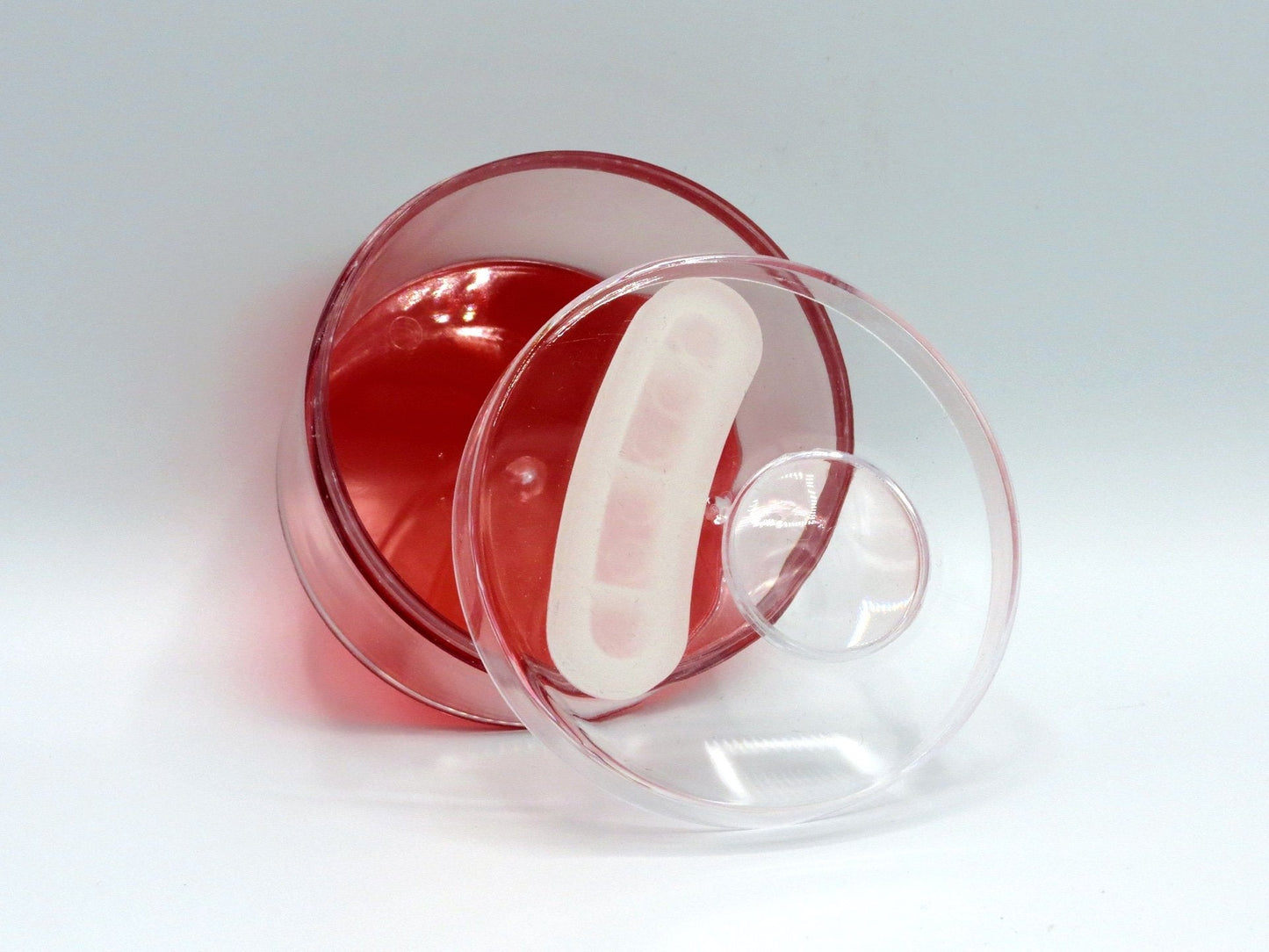 Plastic Jar - With Magnifying Glass